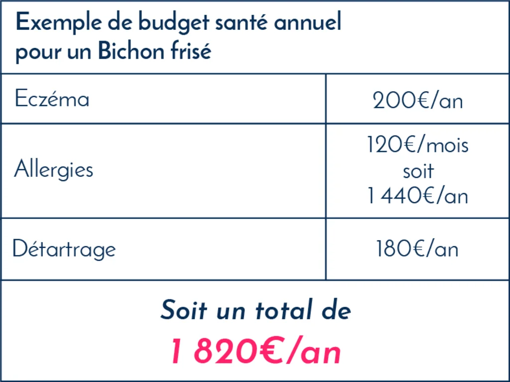 Bichon_frisé_exemples_frais_vétérinaires