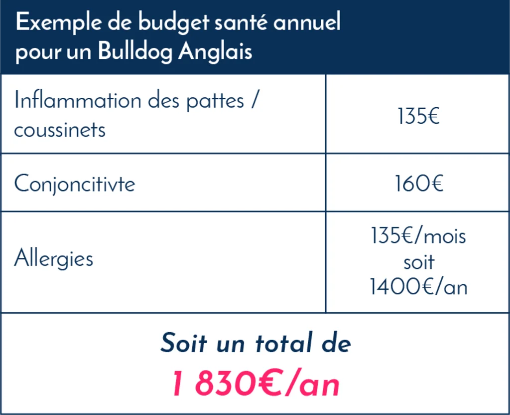 Bulldog_anglais_exemples_frais_veterinaires
