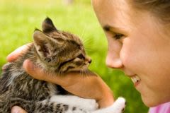 Préparer l&rsquo;arrivée du chaton