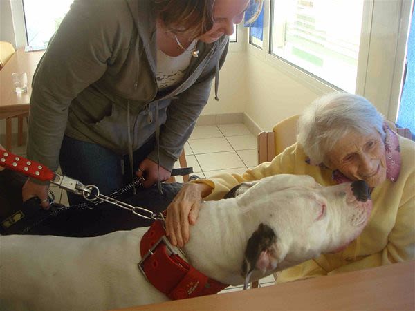 Zoothérapie : quand le chien redonne la vie