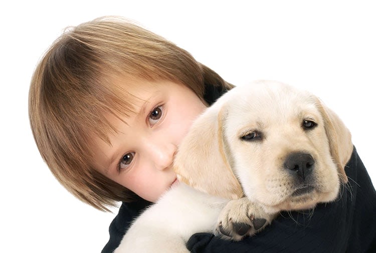 Préparer l&rsquo;arrivée du chiot