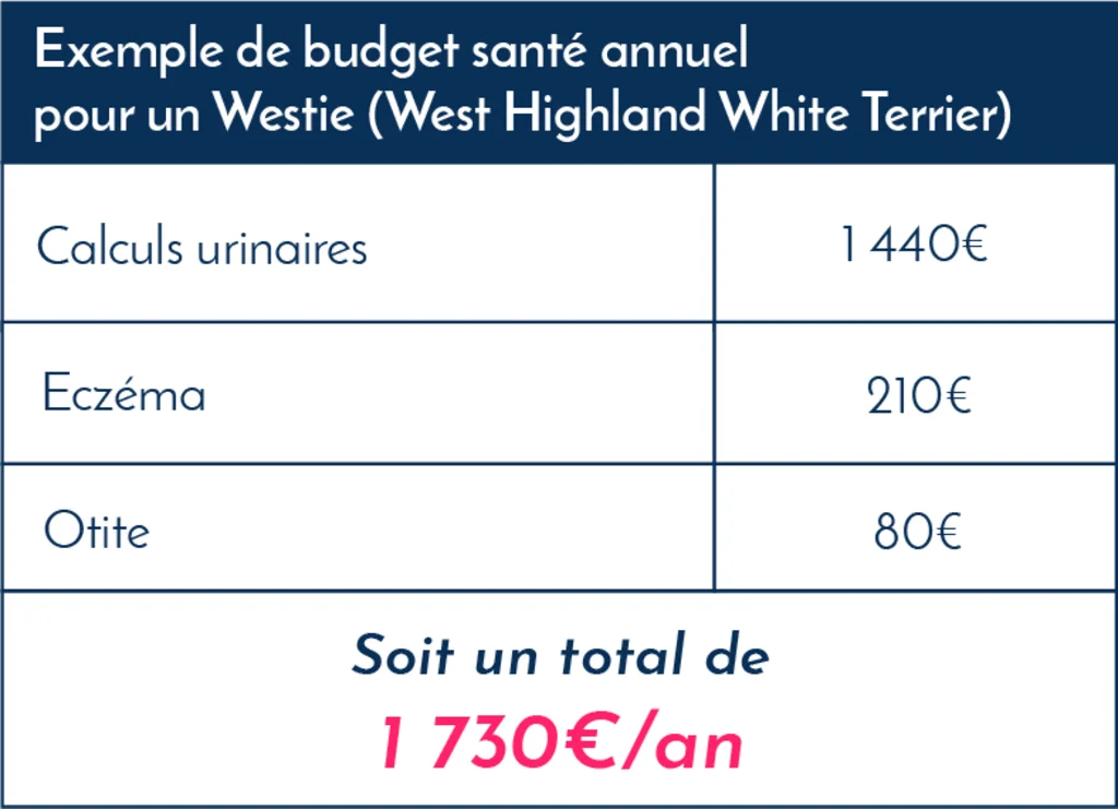 westie_frais_vétérinaires_assurance