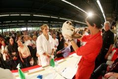 800 chats à découvrir au salon Animal Expo-Paradisio
