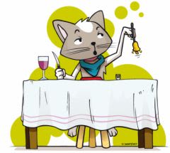 Alimentation : comment bien nourrir son chat ?