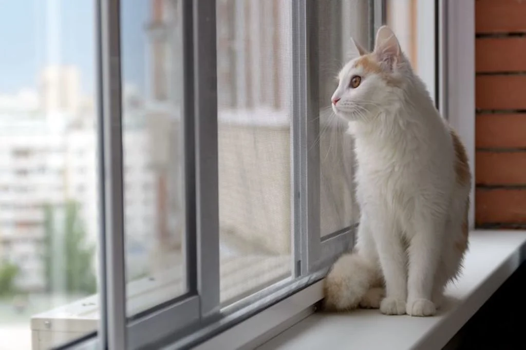 chat_d_interieur_vermifuge_vers_parasites
