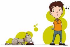 Cachet, sirop, pipettes… domptez votre chat  !