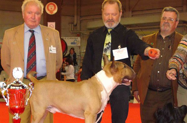 Cynophilie : qu’est-ce que la Société Centrale Canine ?