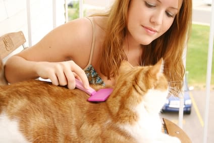 Pour un poil de chat… sans nœuds