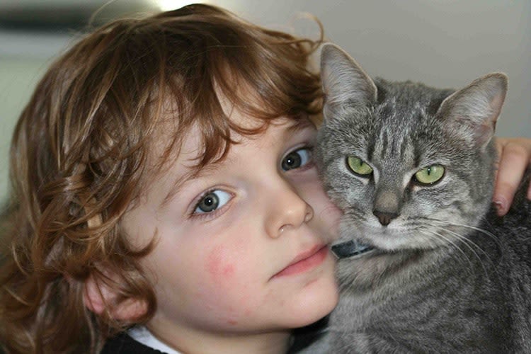 Les vertus du chat : Véronique Aïache et la ronronthérapie