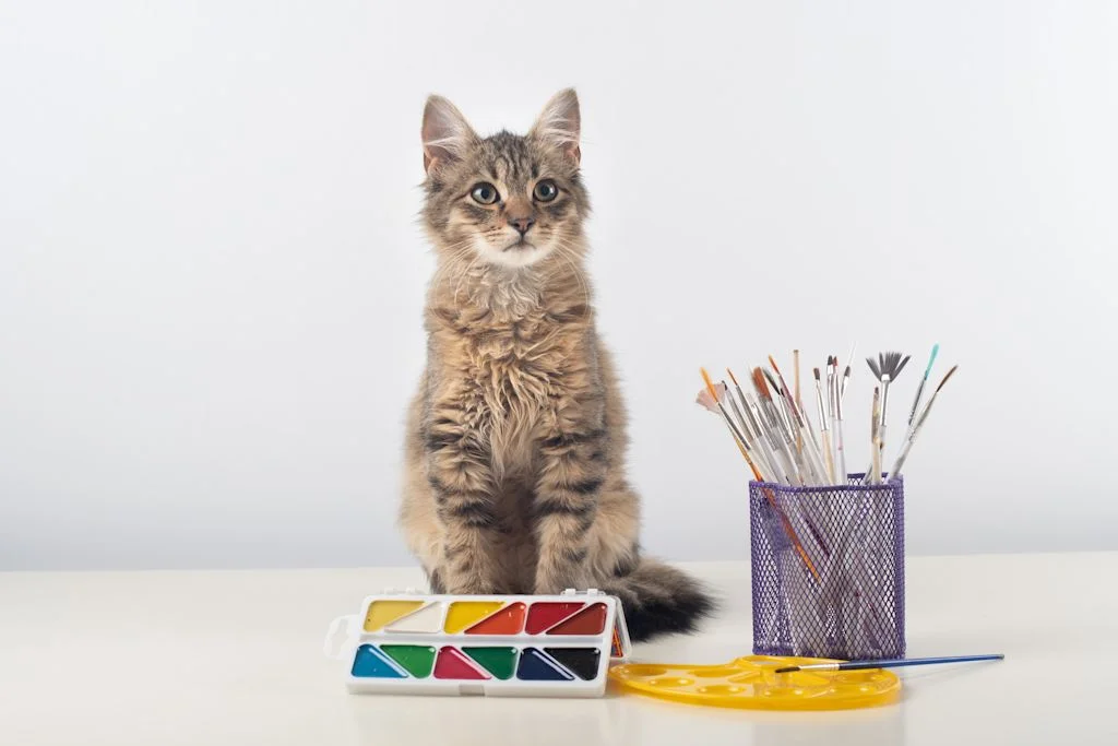 Chat qui a de la peinture