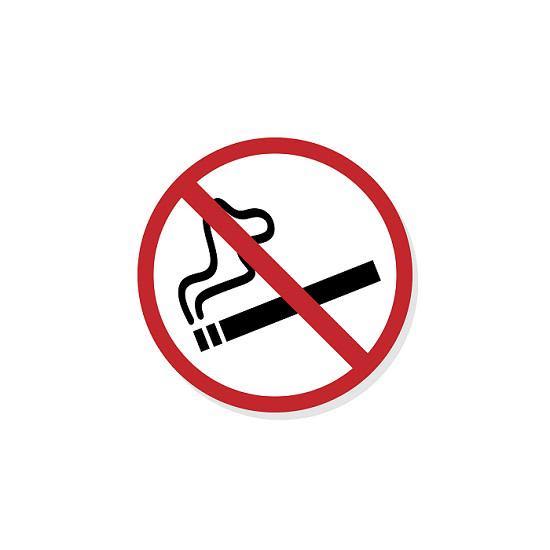elfbar nachfüll pod läuft aus CIGARETTE À MACHER POUR CHIEN — Jouet en peluche couinant – Arvento main image 1