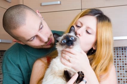 Cas de divorce : qui va garder le chat ?