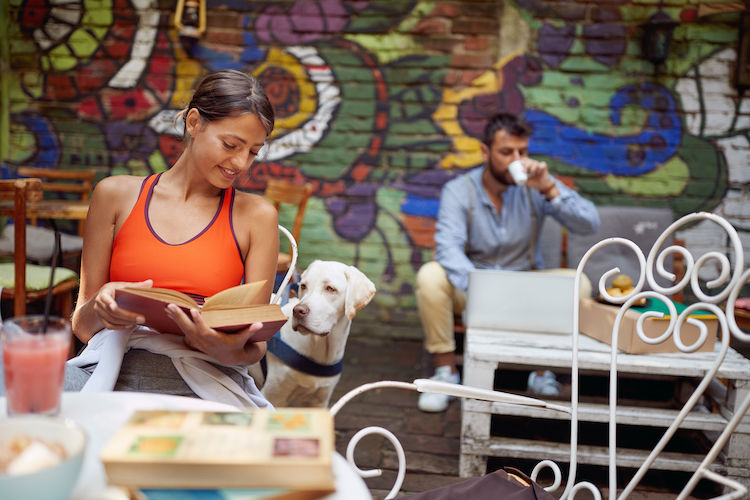 Dans quels magasins peut-on entrer avec son chien ?
