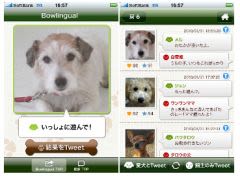 Une application iPhone pour traduire les aboiements