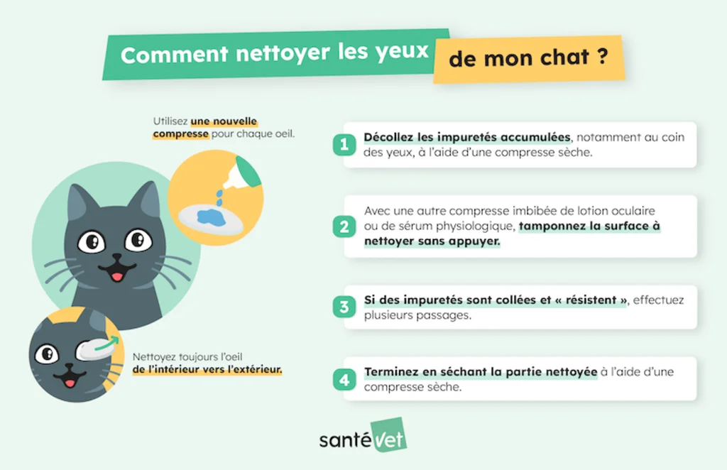 SV - Comment nettoyer les yeux de mon chat