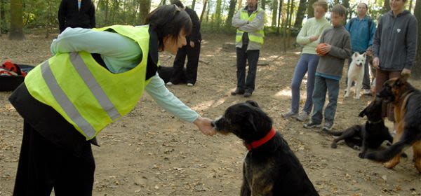 Matinées canines dans les Hauts-de-Seine