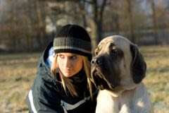 Angleterre : plus d’assurance pour les chiens dangereux