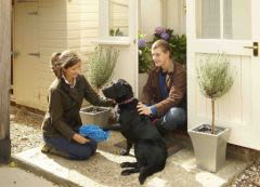 Essuie-pattes Paw Cleaner d’Oster : des chiens enfin tout propres !