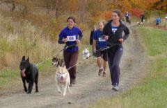 Canicross : le fabuleux destin d’Amélie et de son chien au Canada !
