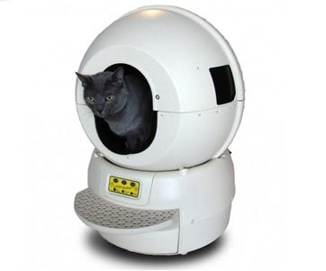 Robot Litière : adieu nettoyage de la litière du chat