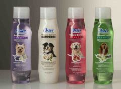 Shampoings aux extraits naturels pour chiens