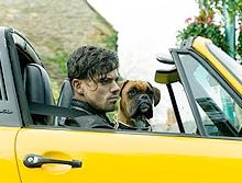 Une Palme d&rsquo;Or pour un chien boxer