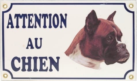 Facteurs, agents Edf-Gdf, livreurs… domptent leur phobie des chiens