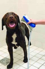 Un système de lavage massant pour chiens !