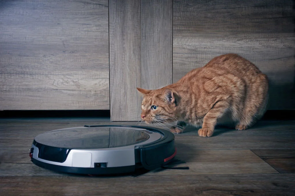 chat allergie aspirateur