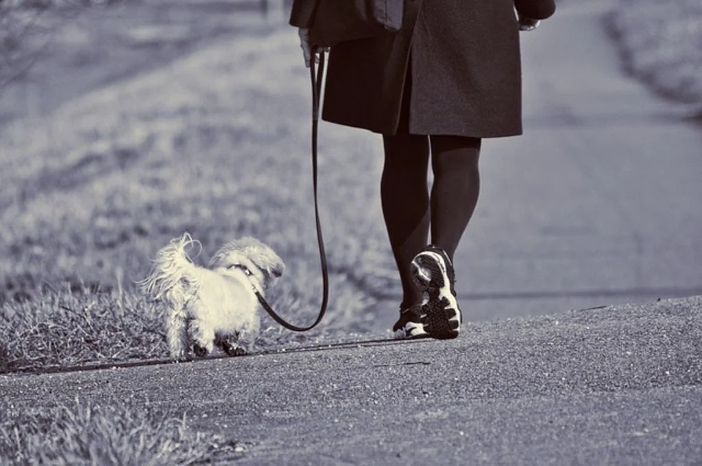 promenade tranquille