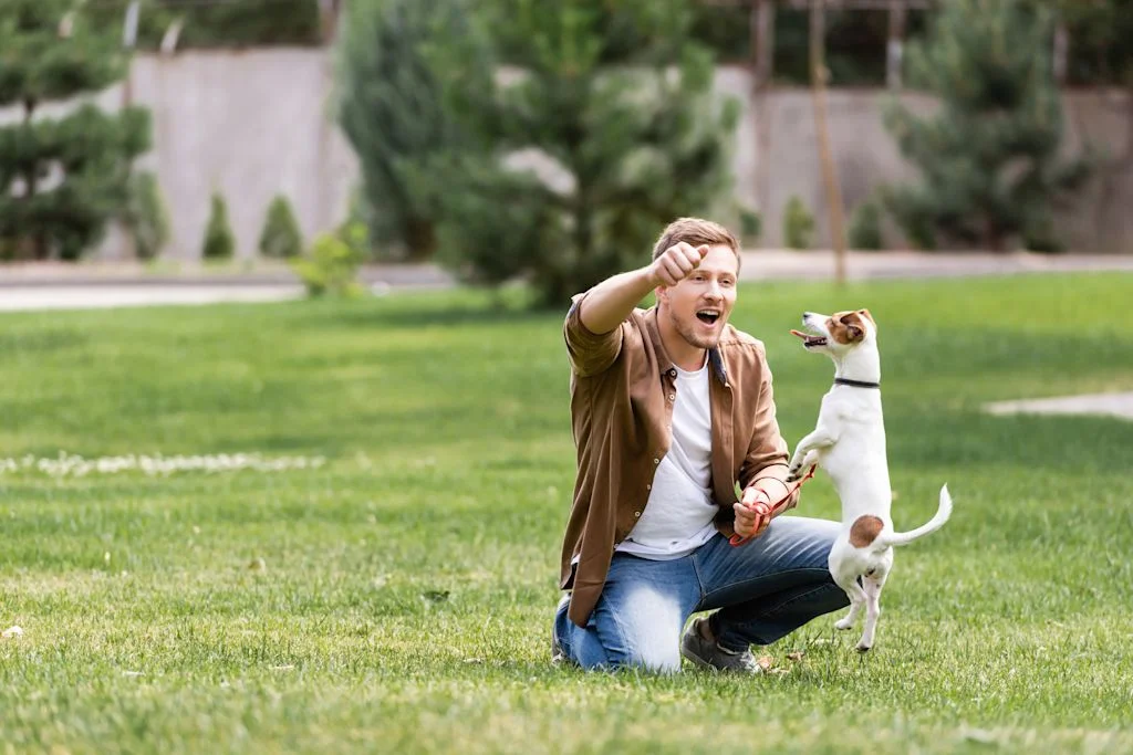 Eduquer son chien