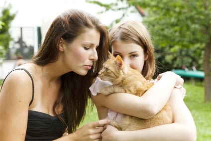 Adopter un vieux chat : procédez en douceur