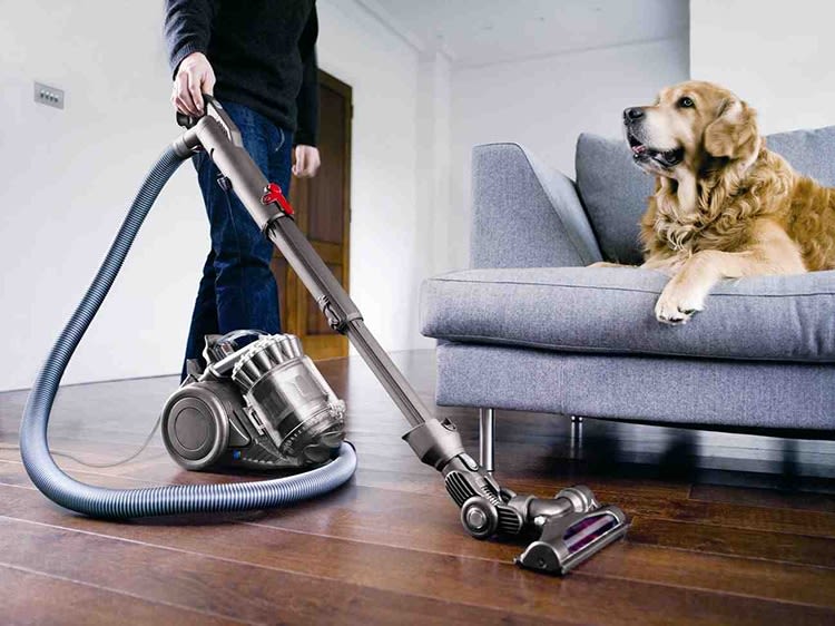 L’inventeur de l’aspirateur à qui les chiens disent merci !
