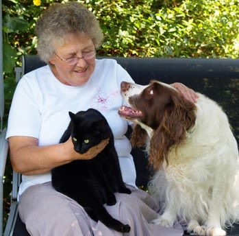 Garde de chien et de chat : quelques précautions à prendre