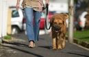 Étude : une femme sur six se confierait à son chien
