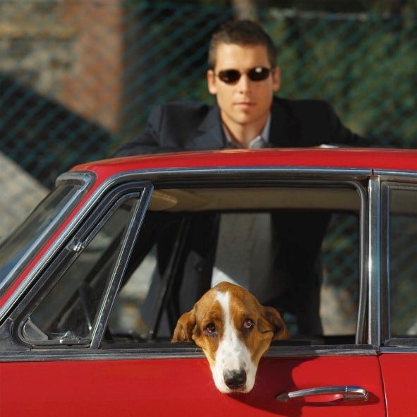 Les chiens imitent instinctivement leurs maîtres