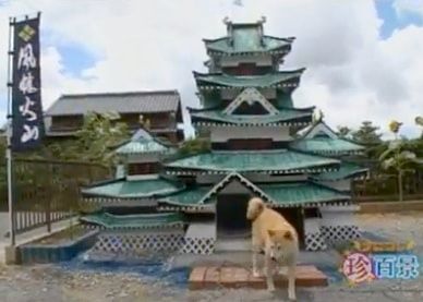 Une niche royale pour chien