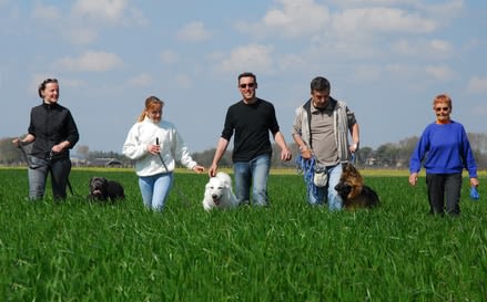 Un forum pour partir en balades ou en vacances avec son chien