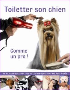 Toiletter son chien… comme un pro