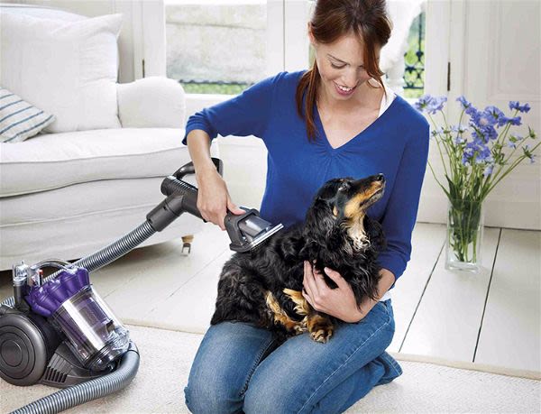 Dyson pense entretien du chien et… maison plus saine