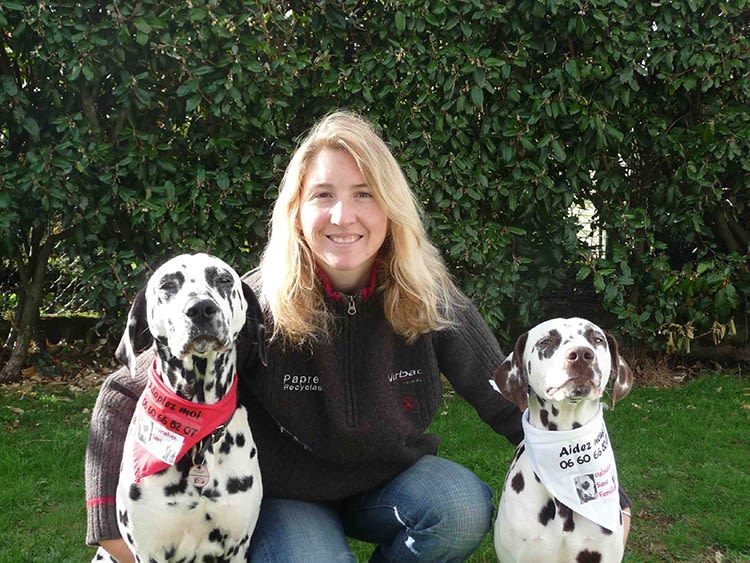 Dalmatien Sans Famille : une association leur vient en aide