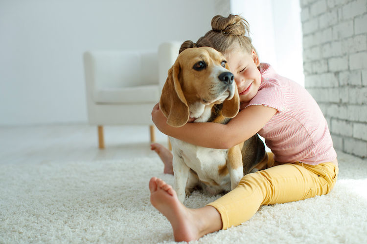 Eczéma : la compagnie d’un chien bénéfique aux enfants