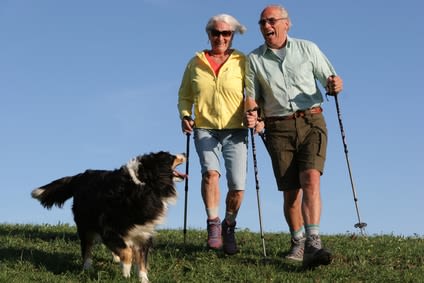 Les apports bénéfiques des chiens et chats pour les maîtres