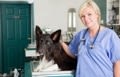 Aspana : la santé animale et la prévention pour tous