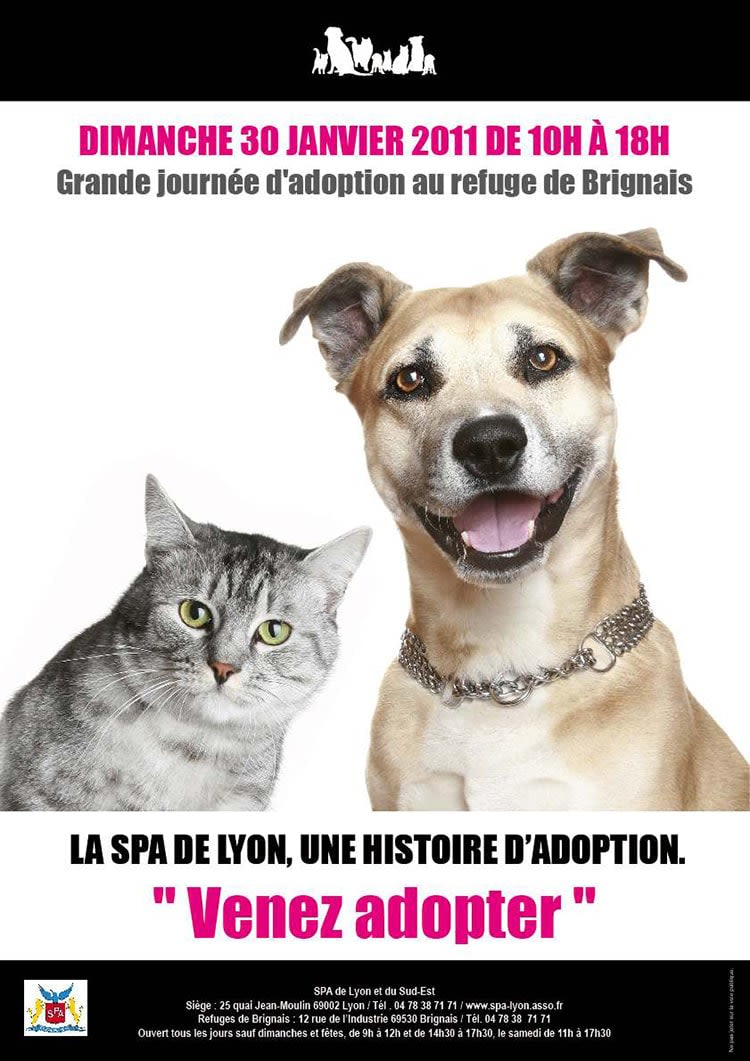 Bienfaits de l&rsquo;adoption : la SPA de Lyon lance une campagne