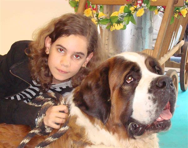 Chiens, chats : les dates qui ont marqué leurs droits