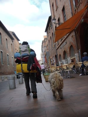 SDF : un foyer à Lyon pour les sans abris et leurs chiens
