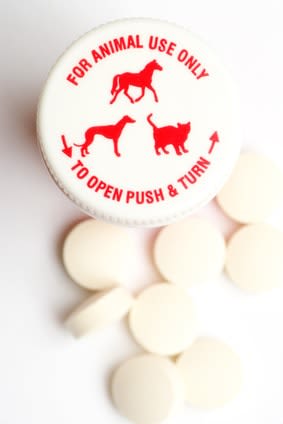 Le danger des médicaments pour chiens et chats sur le Net