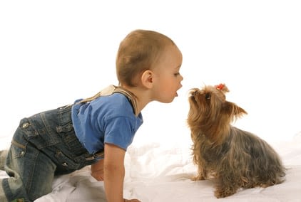 Allergies : chiens et chats sont-ils responsables ?