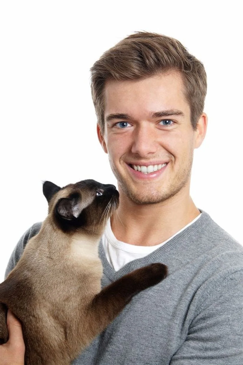 les hommes et les chats